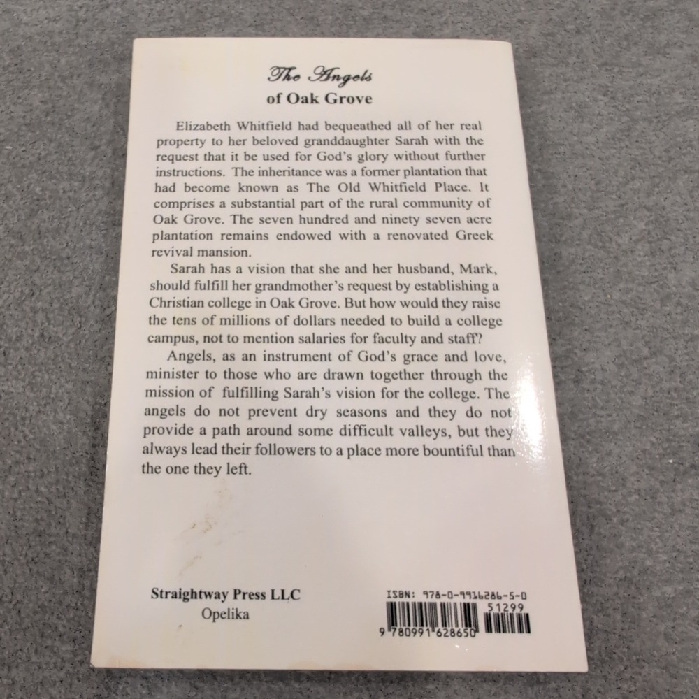 The Angels of Oak Grove Paul Hill Christian Fiction Paperback 2016 9780991628650 - Picture 2 of 4